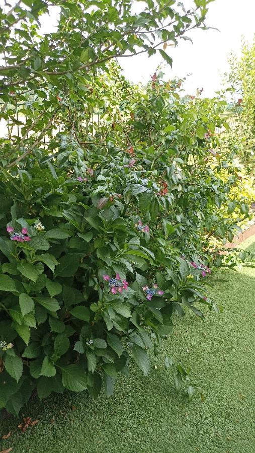 La Cle De Vos Reves Bed & Breakfast Orthevielle ภายนอก รูปภาพ