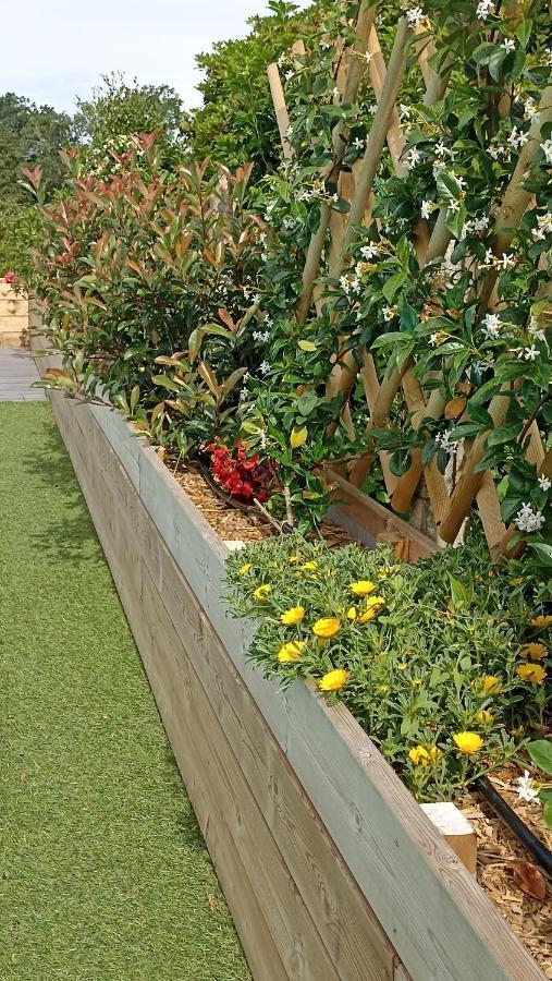 La Cle De Vos Reves Bed & Breakfast Orthevielle ภายนอก รูปภาพ